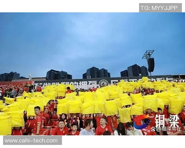 全球足球巨星人气风云榜揭晓球迷热情点燃绿茵赛场激情 全球足球巨星人气风云榜揭晓球迷热情点燃绿茵赛场激情