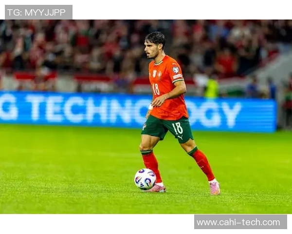 冰岛足球队六大明星之最：他们如何成就球队辉煌历史