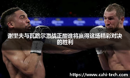 谢里夫与瓦路尔激战正酣谁将赢得这场精彩对决的胜利